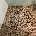 Apartmán Casa Mingot Sxvi Anciles