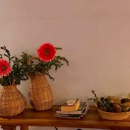 Casa Mingot Sxvi Benasque * Anciles