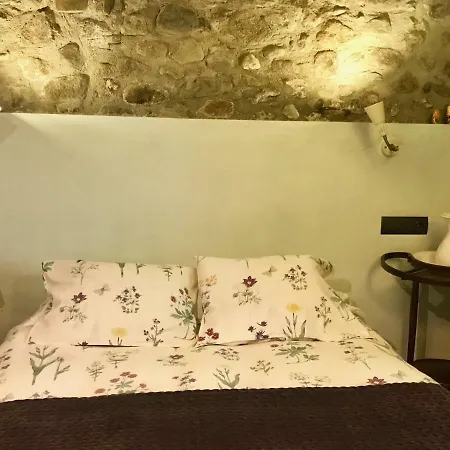 Casa Mingot Sxvi Anciles * Benasque