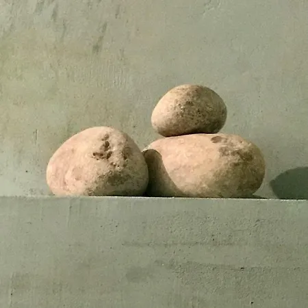 Apartamento Casa Mingot Sxvi Anciles *