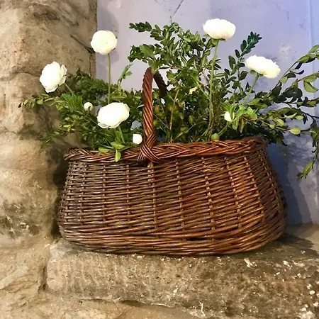 Apartamento Casa Mingot Sxvi Anciles *